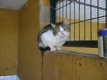 Hope Bild von Hope