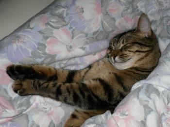 Max Bild von Max