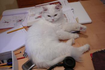 Fluffy Bild von Fluffy