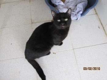 Ohne Bild von Cosimo