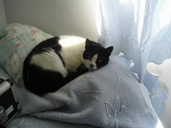 Nita Bild von Nita