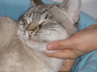 Sixti Bild von Sixti