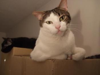 c Bild von Cuqui