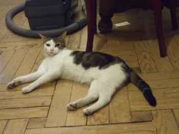c Bild von Cuqui