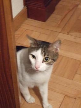 c Bild von Cuqui