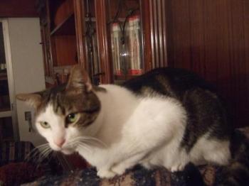 c Bild von Cuqui