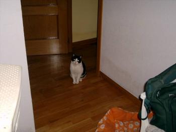 Bild von Tonio