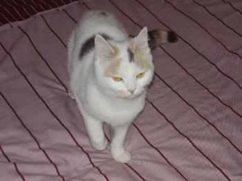 Sweety Bild von Sweety