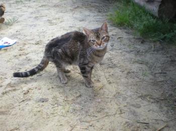 Avelina Bild von Avelina