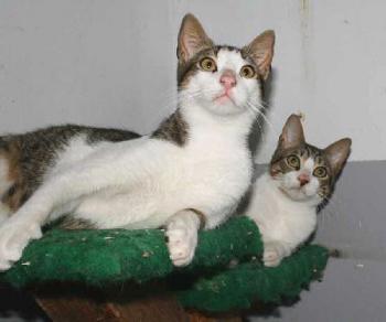 Karim und Karem Bild von Karem
