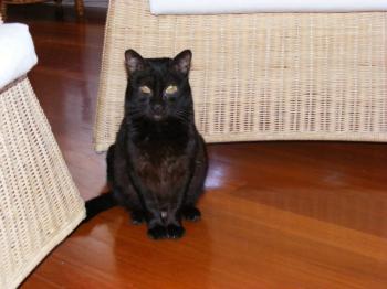 m Bild von Mony Penny