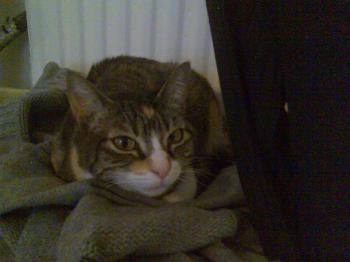 Nora Bild von Nora