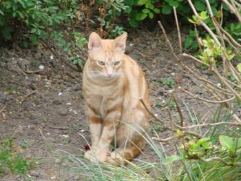 l Bild von Tucker