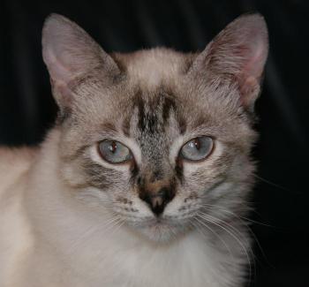 Lucia Bild von Lucia