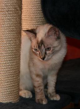 Lucia Bild von Lucia