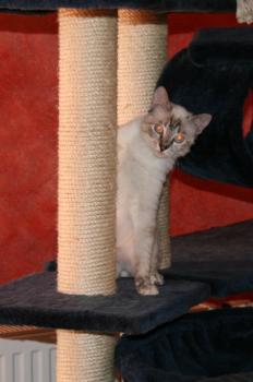 Lucia Bild von Lucia