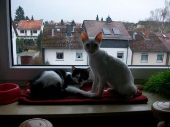 p Bild von Pantxita