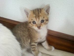r Bild von Randy