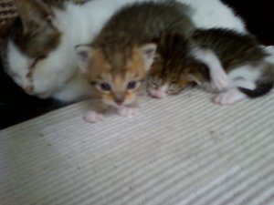 r Bild von Randy