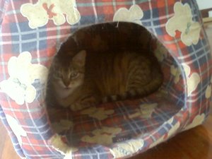 c Bild von Cleo