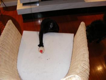 m Bild von Mony Penny