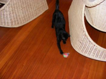 m Bild von Mony Penny