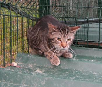 c Bild von Calvin