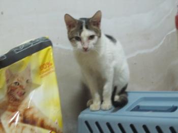 f Bild von Freddie