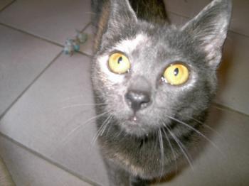 p Bild von Lulu