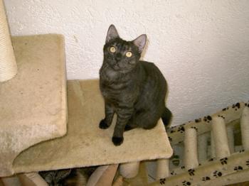 m Bild von Pino