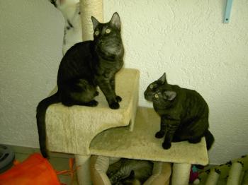 m Bild von Pino