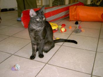 m Bild von Pino