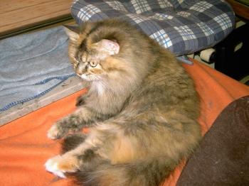 m Bild von Cloe