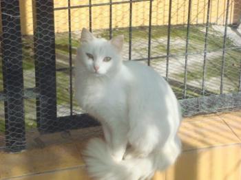 f Bild von Sami