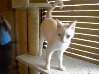 c Bild von Chiquineja