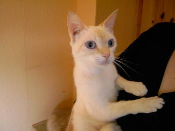 c Bild von Chiquineja