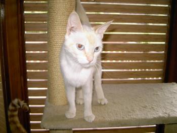 c Bild von Chiquineja