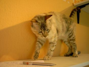 e Bild von Emily