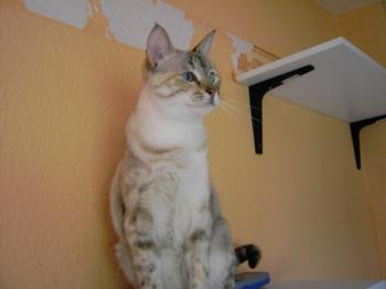 e Bild von Emily