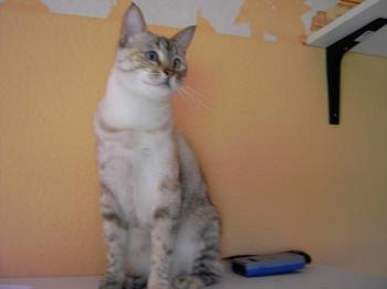 e Bild von Emily