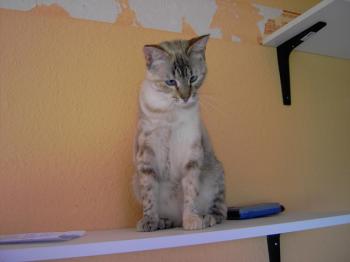 e Bild von Emily