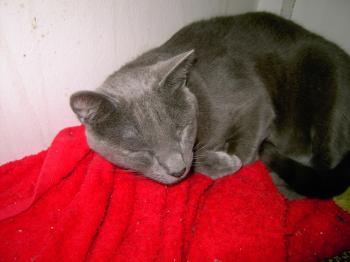 l Bild von Lisa