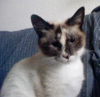 Sarah Bild von Sarah