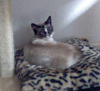 Sarah Bild von Sarah