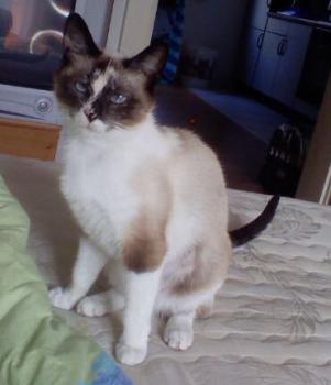 Sarah Bild von Sarah