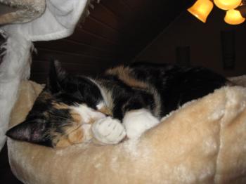 r Bild von Andrea