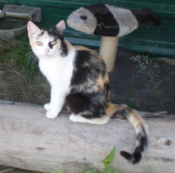 t Bild von Teresita