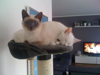 s Bild von Sammy
