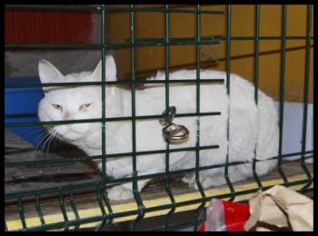 c Bild von Casper