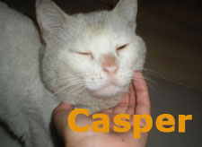 c Bild von Casper